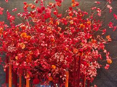 -峨嵋酒家(牡丹园店)