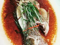 清蒸鳜鱼-巴音浩日娲·蒙餐(双林东路店)