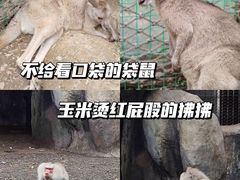 -宁波野生动物园