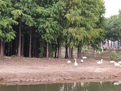 -厦门园林博览苑