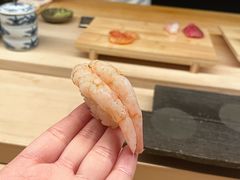 -焘