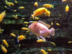 -多彩贵州城极地海洋世界