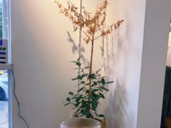 -收获咖啡HARVEST RESERVE(苍山店)