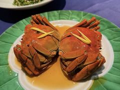 -老吉堂上海本帮菜(工体店)