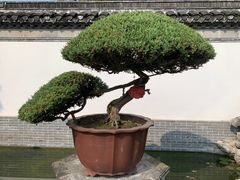 -水绘园