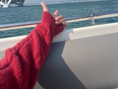 -五缘湾游艇帆船俱乐部