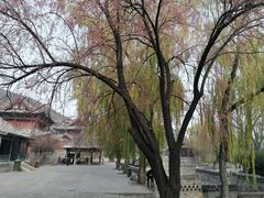-晋祠公园