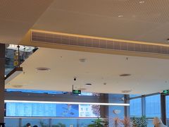 -Bco豆库(星耀天地店)