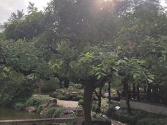 -秋霞圃