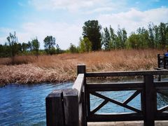 -野鸭湖国家湿地公园