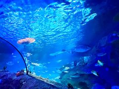 -沈阳海洋探索中心