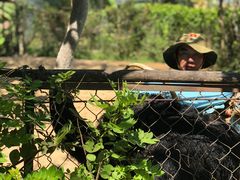 -芽庄洲际酒店自助餐厅