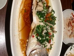 葱油大白鲈-大牌大·传统杭帮菜(湖滨店)