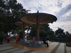 -铁山坪森林公园