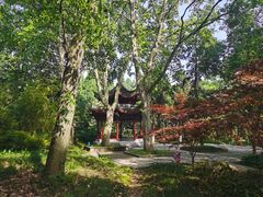 -采石矶景区