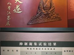 -荆州博物馆