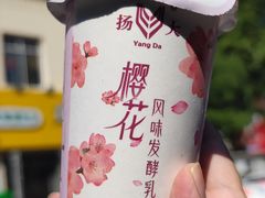 樱花风味发酵乳-扬大康源乳业鲜奶吧(大学北路店)