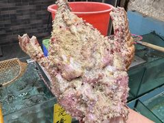 -有腥气私房菜·寻味顺德