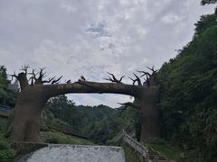 -梅岭月亮湾山体公园