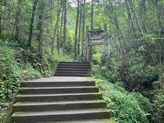 -凤栖山