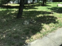 -西安秦岭野生动物园