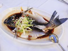 清蒸鲩鱼-潮喜竹溪荔湖酒家(荔枝湾店)