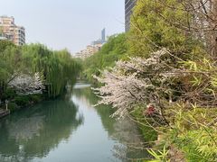 -浙江大学医学院附属第二医院(解放路院区)