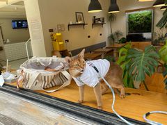-小意思咖啡店(草桥店)