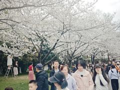-堤角公园