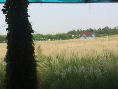 -广州花之恋城堡酒店