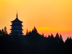 -浙江西子宾馆·牡丹厅