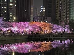 -西北湖绿化广场