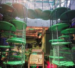 -恐龙探索乐园(磁器口店)