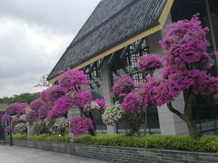 -广州莲花山旅游区