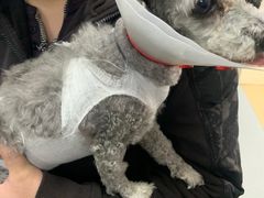 -康乐宝动物医院