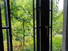 -杭州西湖柳莺里酒店·闻莺厅