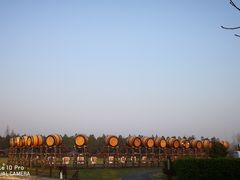 -崇明东平国家森林公园烧烤房车露营地