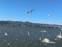-海埂大坝
