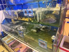 -Sasa的海(蜈支洲岛后海店)