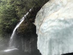 -望天鹅景区