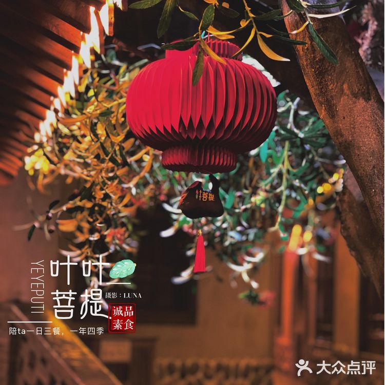 🍃魔都精致素食料理天花板｜黑珍珠餐厅｜叶叶菩提