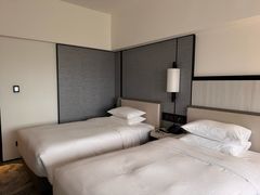 -新加坡乌节希尔顿酒店 (SG Clean)