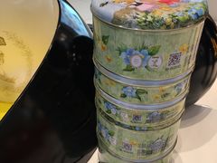 -珍妮曲奇聪明小熊(尖沙咀店)