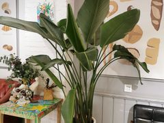 -高力乐面包咖啡厅(西塔店)