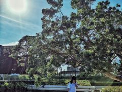 -星巴克(深圳前海企业公馆店)