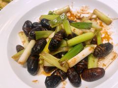-鲜得莱渔港·小平岛海胆馆(七贤岭店)