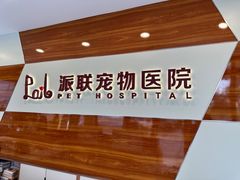 -派联宠物医院·24h·CT·异宠