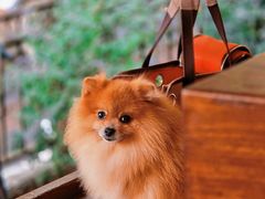 -Brut Eatery悦璞食堂(愚园路店)