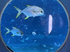 -上海海昌海洋公园