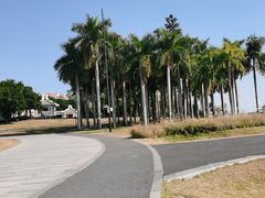 -华侨公园